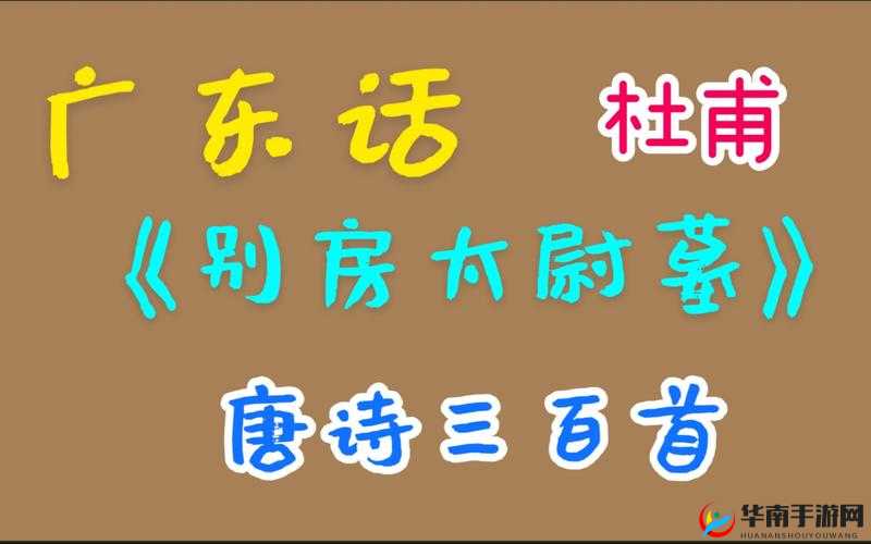 91楹昏眴绮惧搧涓浜屼笁浜у尯鍖哄埆：独特解析