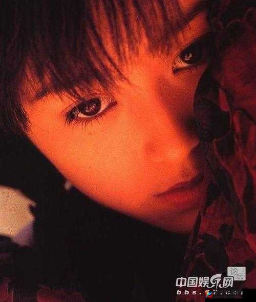 96 绮句骇鍥藉搧涓浜屼笁鍖哄埆：一段引人入胜的故事