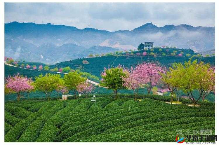 鏈遍棬缁ｆ埛PRO 鐣澶：探索未知世界的神奇之旅