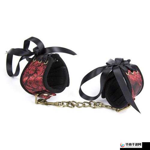 鏍″洯缁戝畾 jy 鏀堕泦绯荤粺 xh ：全新功能介绍