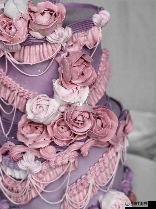 蛋糕图鉴之宫廷系蛋糕的独特魅力图文详解