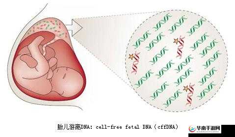 鐜嬭呰崳鑰濂宠掕壊鏃犲皬鍐呮棤鐖卞績鏈夊浘：探索网络安全的新方向