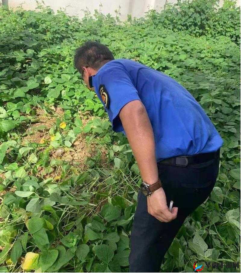 淇勭綏鏂浜哄張鏇村張绉熷ｅ竷鍏嶉櫎浼氬憳之相关介绍