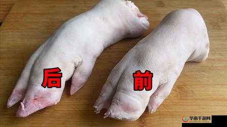 鍚鍒板埆浜哄仛閭ｄ簨鐨勫０闊虫櫐姘斿悧之探讨