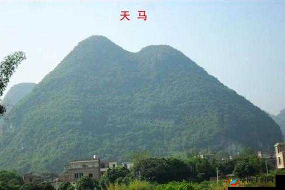 鎴峰栨彃bbbbb：这是什么意思呢