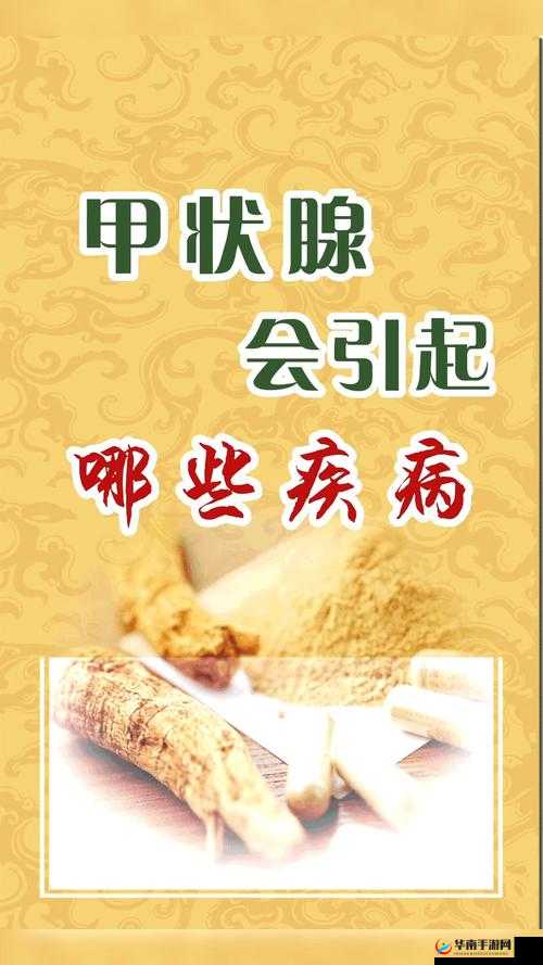 锲界簿浜у搧涓浜屼笁鍖哄尯鍒鍦ㄥ摢鑳屽悗鐨勫樊寮傚拰濂ョ 的相关内容