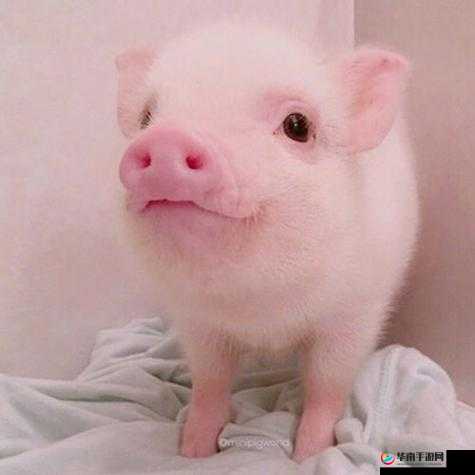 涔呬骇涔呬汉鍔涙湁闄愬叕鍙：独特的景象