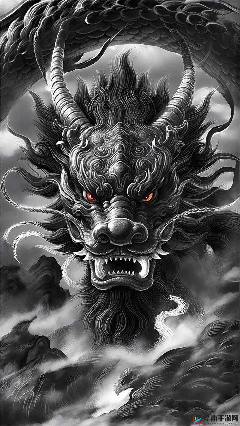 黑龙风暴特别篇：荣耀与鲜血的交织，战斗与牺牲的传奇