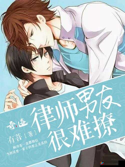 律师男友：难以攻克的爱情难题