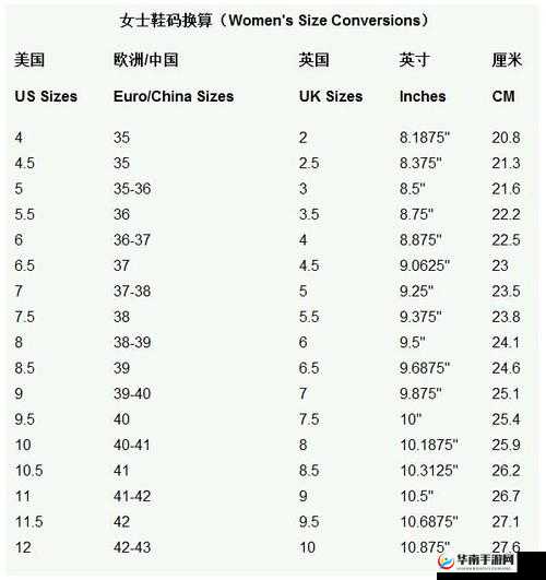 欧洲多尺码 3538：时尚新选择