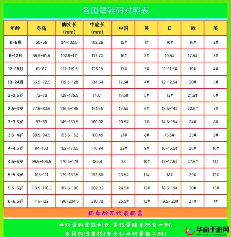 亚码 L 跟欧码 L 区别在哪：深度解析