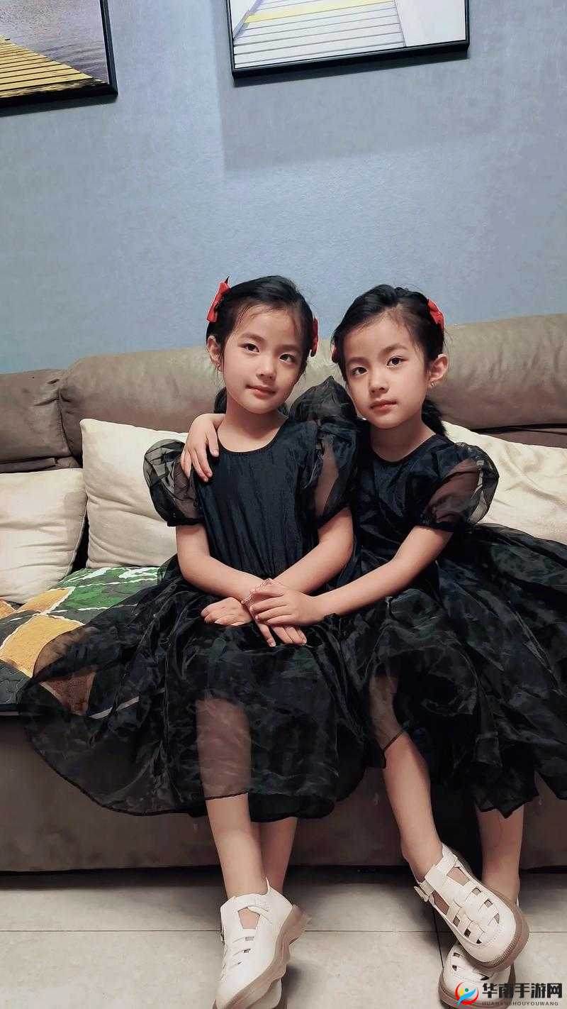 双胞胎姐妹齐上阵许多人物：携手共进的故事