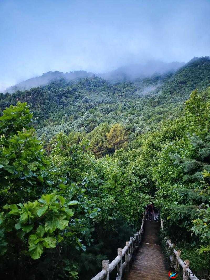 伊春园 2023 入口直达大象：探索神秘花园的奇幻之旅