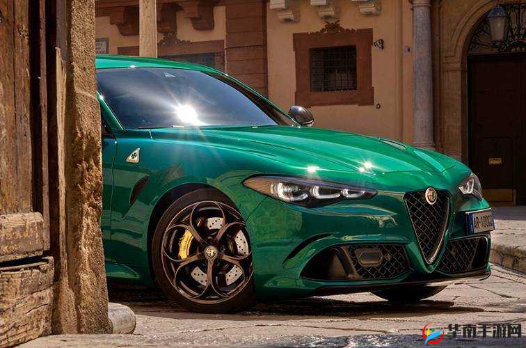 四叶草欧洲和国产区别：特点与差异全解析