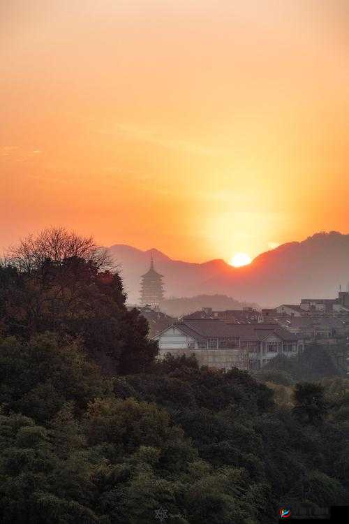 碧海琴姬：奏响部落乐章的神秘女子