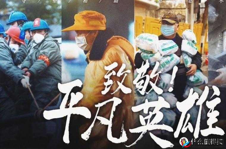 公交车舒婷简介：一位平凡但不平凡的人物