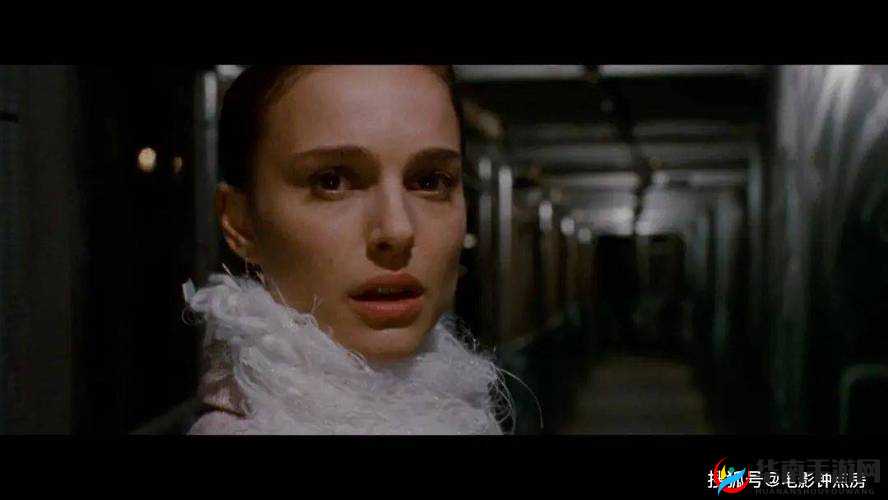 黑暗视频大全免费观看：精彩内容等你探索