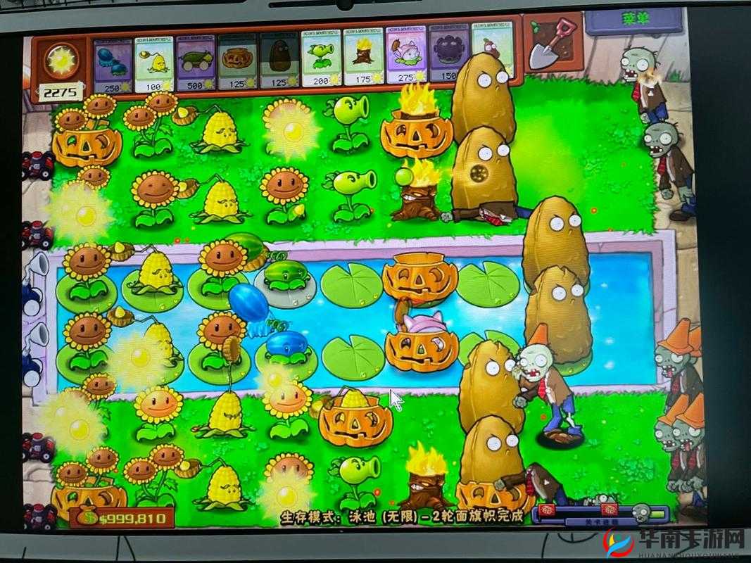 超级植物大战僵尸：玩法揭秘，你想知道它为什么好玩吗？