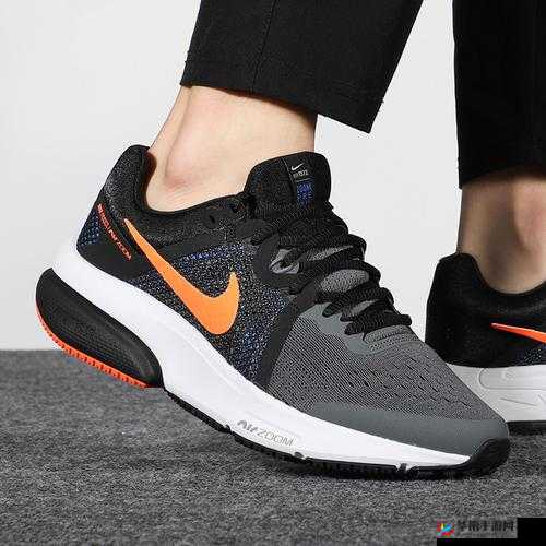 ZOOMDOG2021：独特的存在