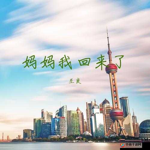 和好兄弟的母亲最经典的一句：妈我回来了