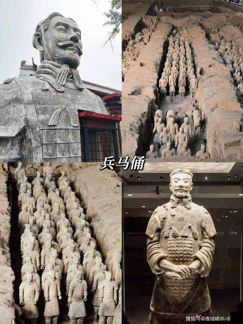 新手必备：玩转我爱大明星的实用攻略指南