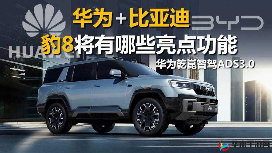x7x7x7 任意噪之特点解析