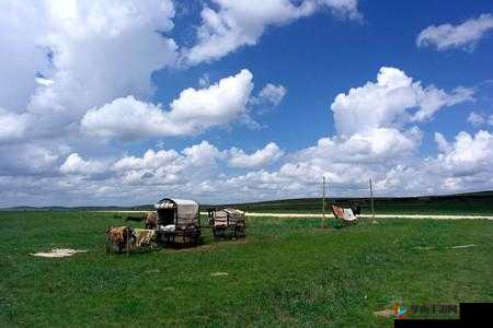 Zoom26 牧场：梦想开始的地方