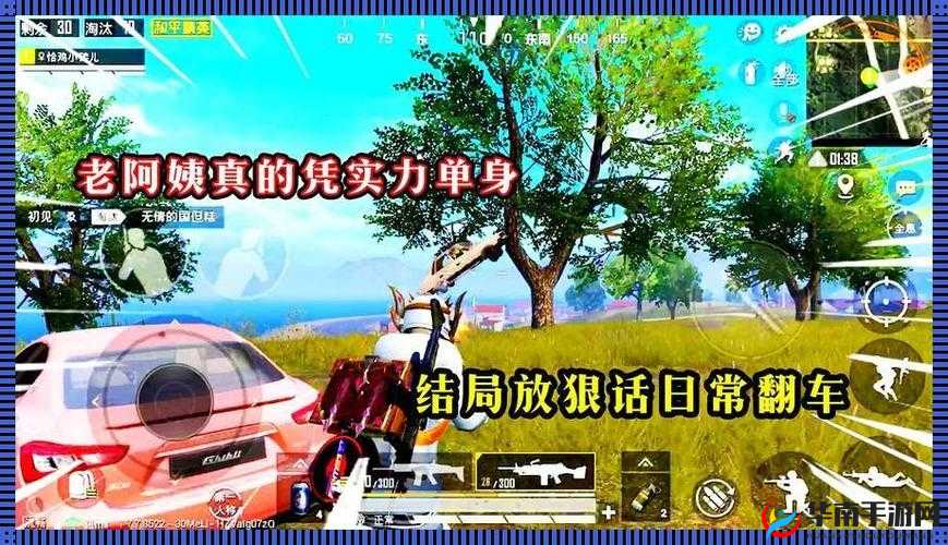 刺激战场老阿姨是谁啊：揭秘游戏中的神秘角色