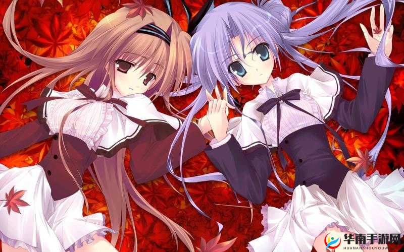 次元派：探索多元次元的奇妙世界