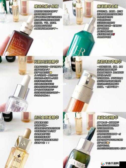 无人精华区二区区别：特色与不同之处