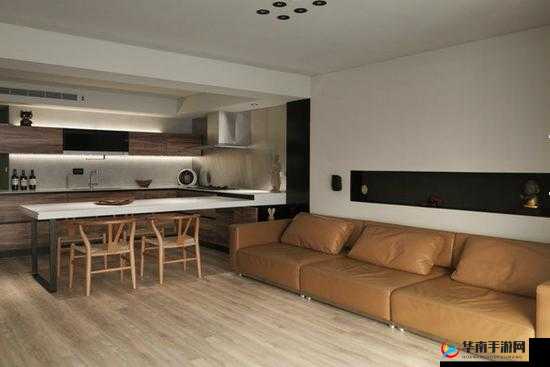 从厨房一路干到客厅好吗的新发现：惊人转变