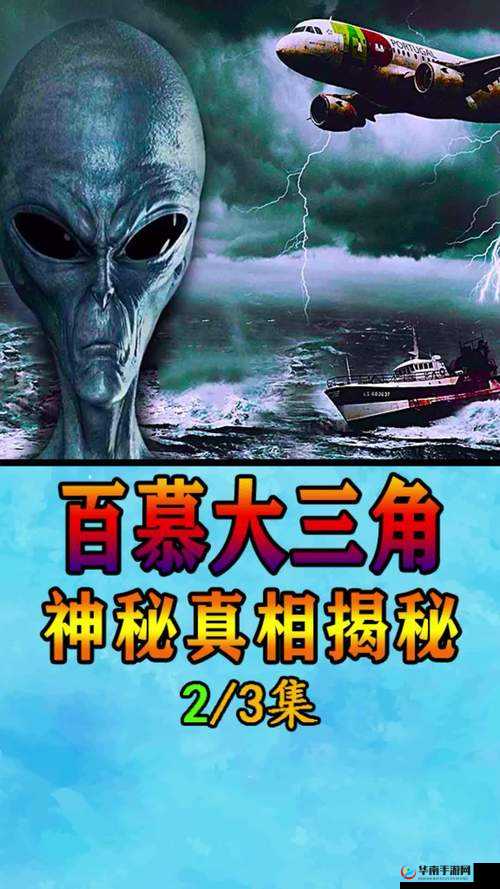 神秘视频 5 个路径全揭秘