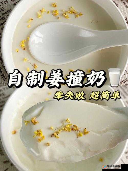 广东甜品姜汁撞奶 POH：传统与创新的完美结合