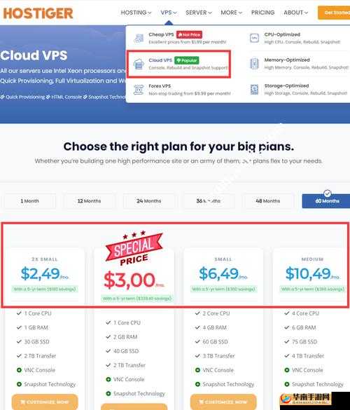 VPSWINDOWS 另类极品超多线路可选