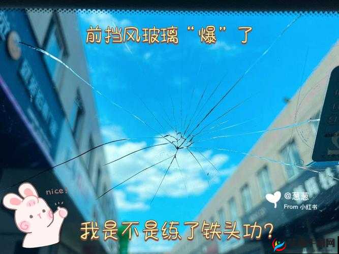 9 分 10 秒落地窗头撞玻璃完整视频