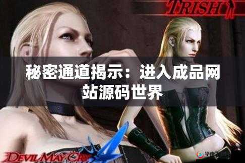 成品网站源码入口隐藏通道：神秘的技术路径