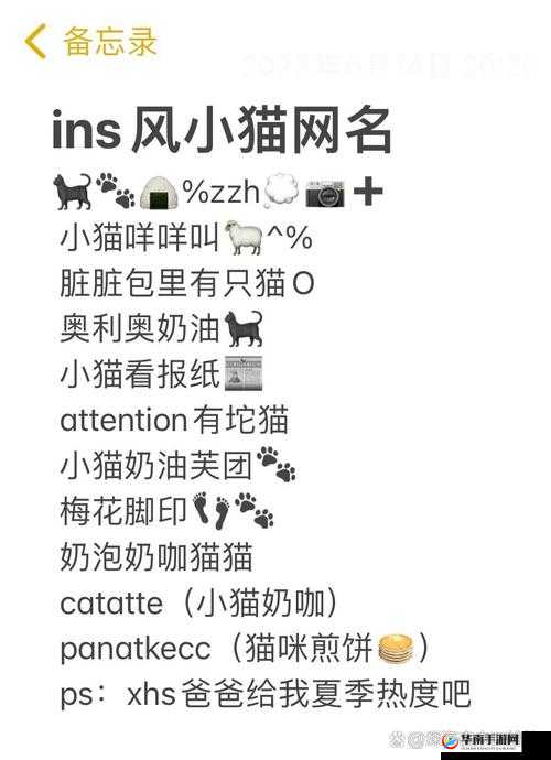 2024 猫咪最新地域网名：关于猫咪的有趣发现