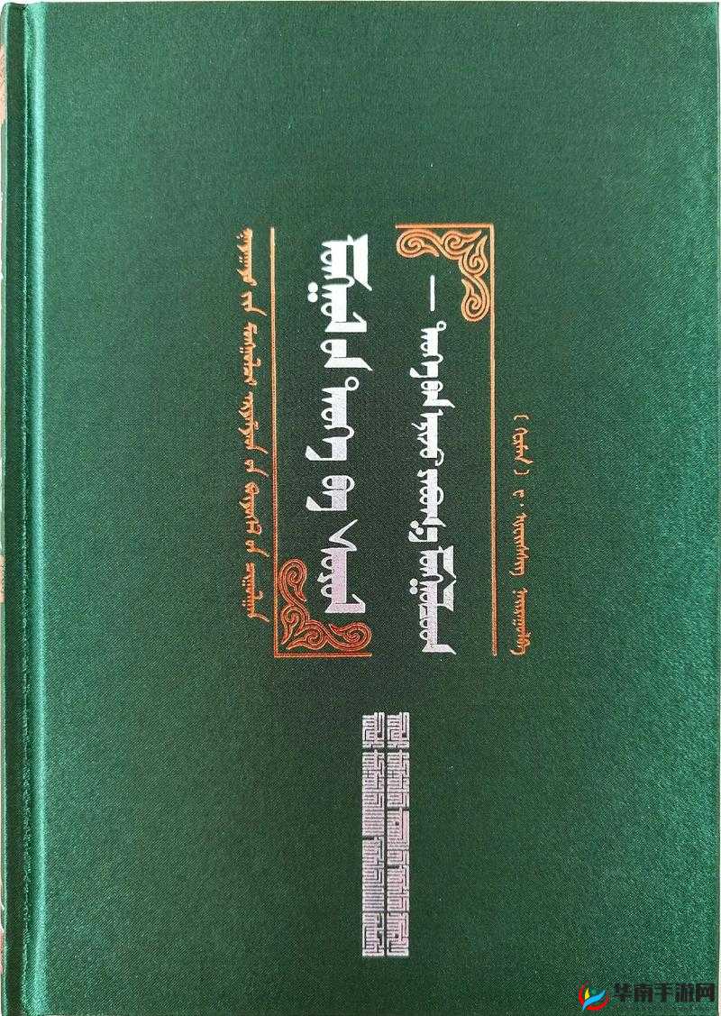 探索蒙古 B 大吗：其历史与文化