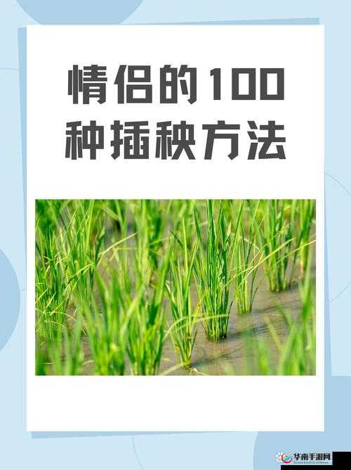 夫妻共探索一百种插秧方法的别样体验
