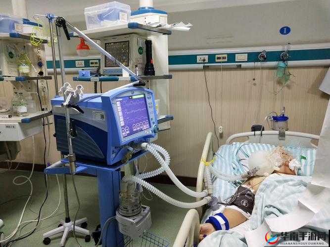 成色P31S 是国精产品吗：相关探讨