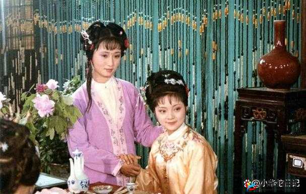 权臣的瘦马通房：她的命运纠葛