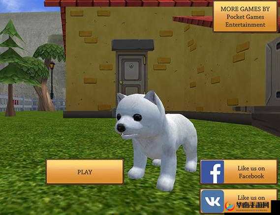 Zoom 与动物 Zoom：奇妙的伙伴之旅