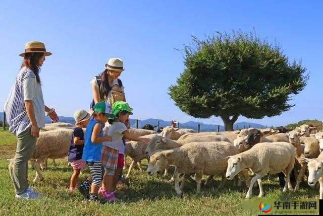 日本母亲农场特色农牧产品：优质健康之选