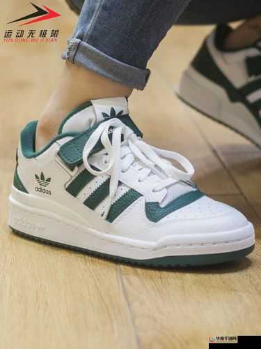 gy5821 三叶草：踏上奇幻之旅