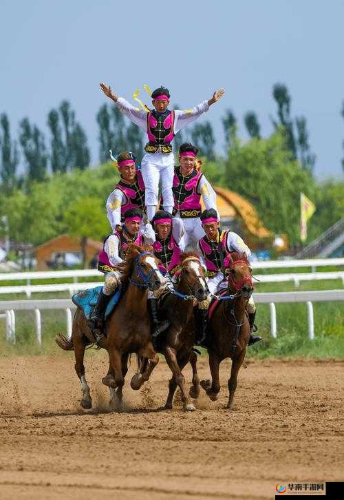 深入交流骑马：探索马术世界的奥秘