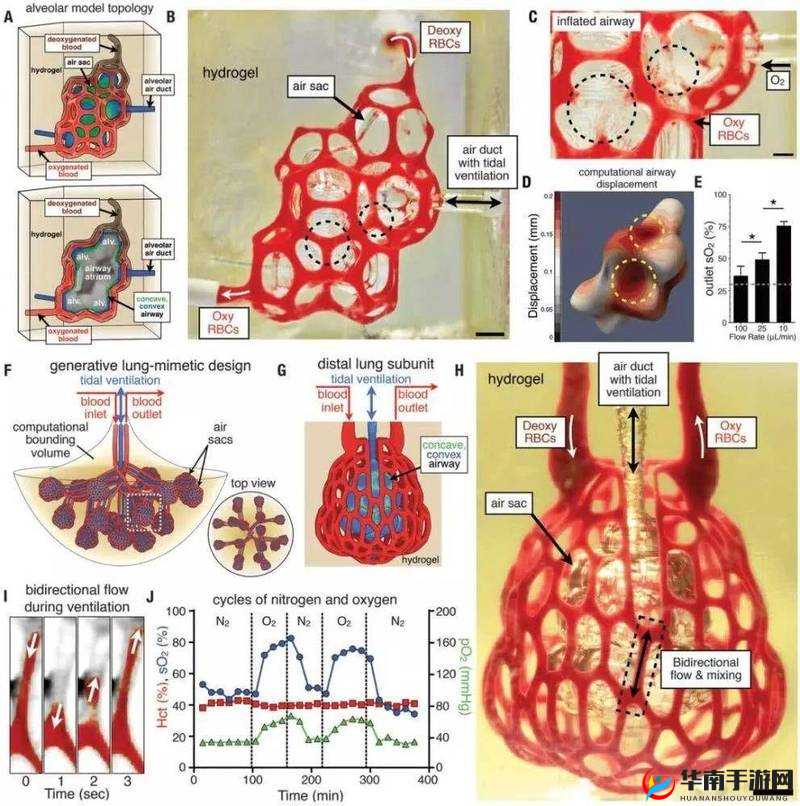 杂交 BUCSM 人类 SSBA 的相关研究探讨