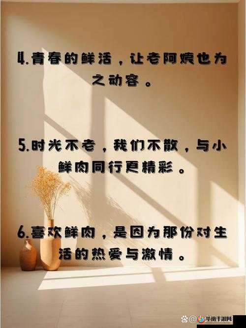 老阿姨喜欢小鲜肉用什么词形容之探讨