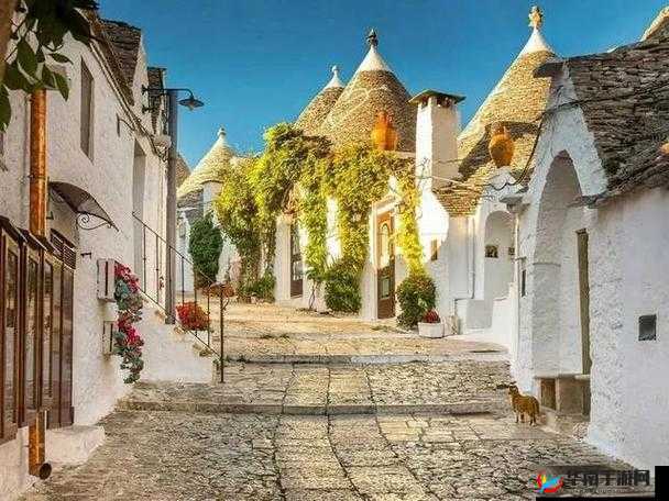 随时随地都能干的小镇叫什么：探讨其独特之处