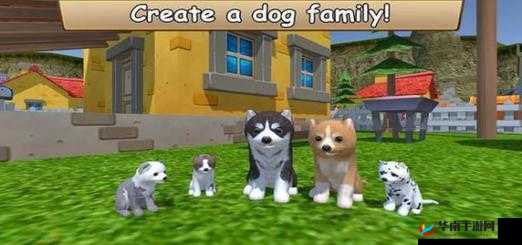 美国ZOOM 动物 ZOOM：独特的动物世界观察