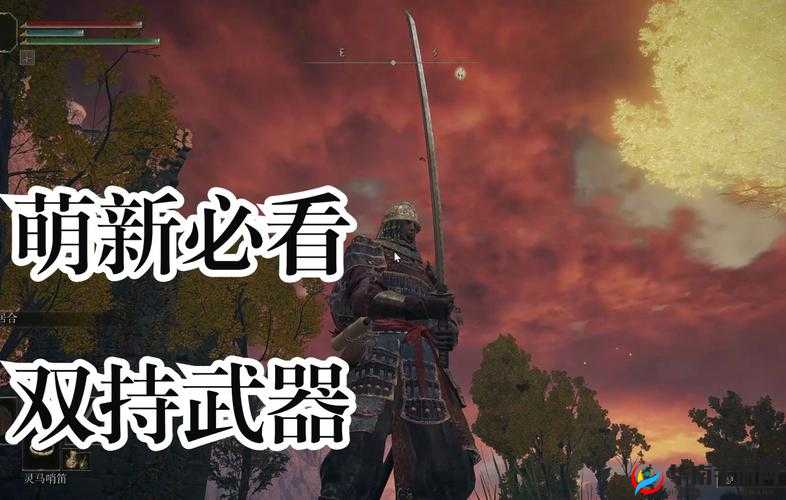 艾尔登法环怎么双持：武器切换技巧分享